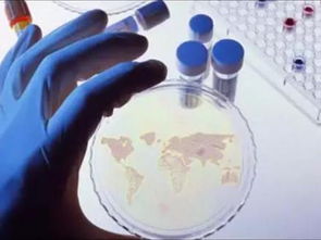 最新預(yù)測報告 未來全球石墨烯的九大發(fā)展趨勢